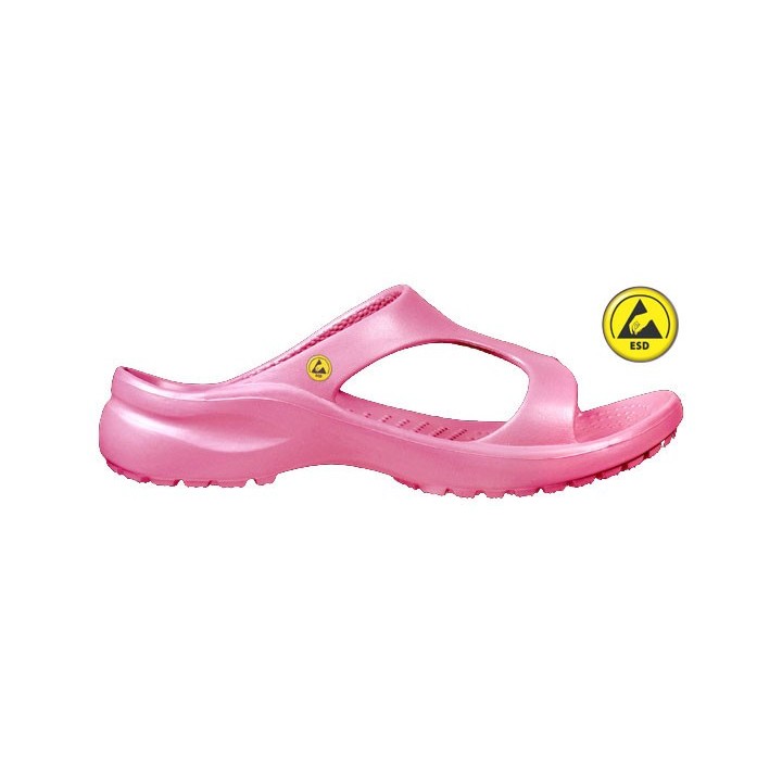 Vento Star  Aruba pink
