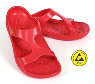 Vento Star  Aruba red