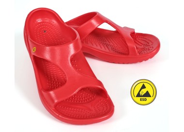 Vento Star  Aruba red
