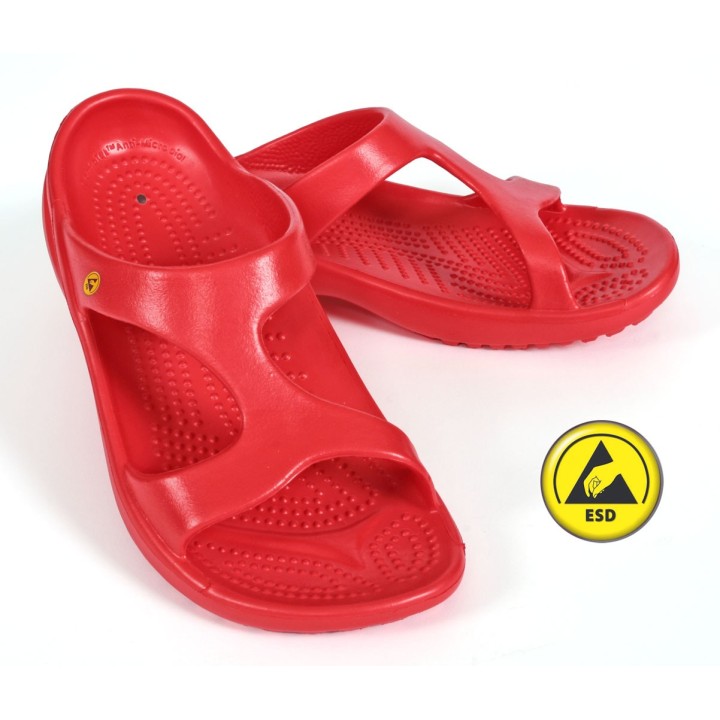 Vento Star  Aruba red
