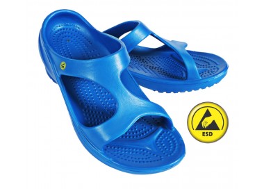 Vento Star  Aruba pacific blue