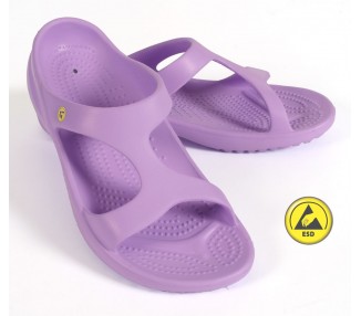 Vento Star  Aruba lila