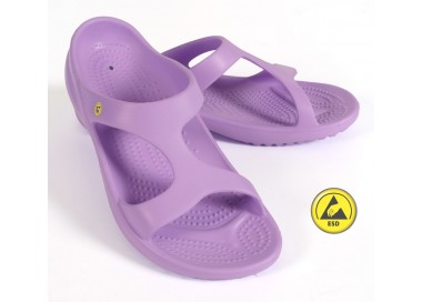 Vento Star  Aruba lila