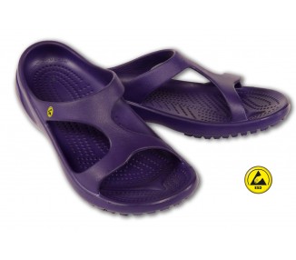 Vento Star  Aruba purple
