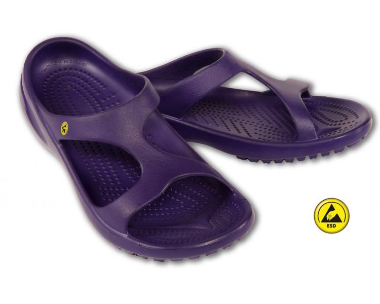 Vento Star  Aruba purple