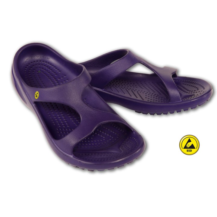 Vento Star  Aruba purple
