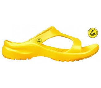 Vento Star  Aruba yellow