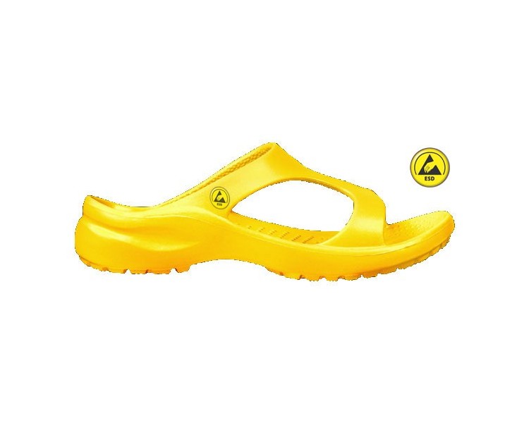 Vento Star  Aruba yellow