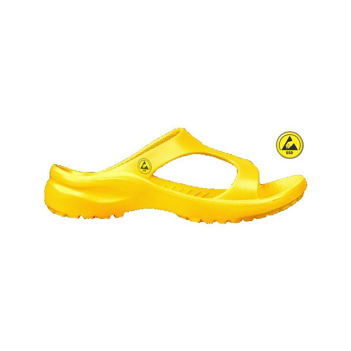 Vento Star  Aruba yellow