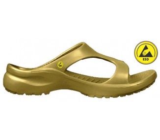 Vento Star  Aruba gold