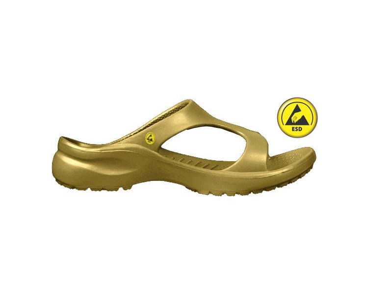 Vento Star  Aruba gold