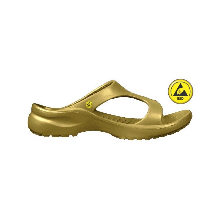 Vento Star  Aruba gold
