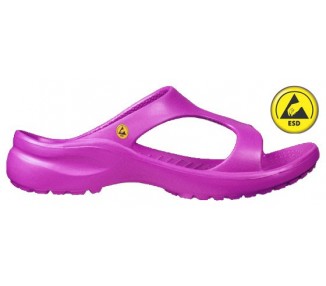 Vento Star  Aruba fuchsia
