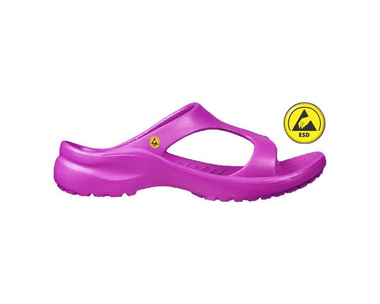 Vento Star  Aruba fuchsia