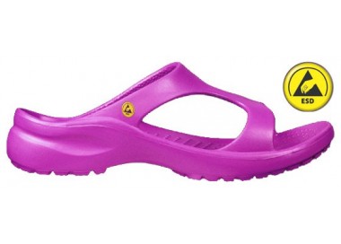 Vento Star  Aruba fuchsia