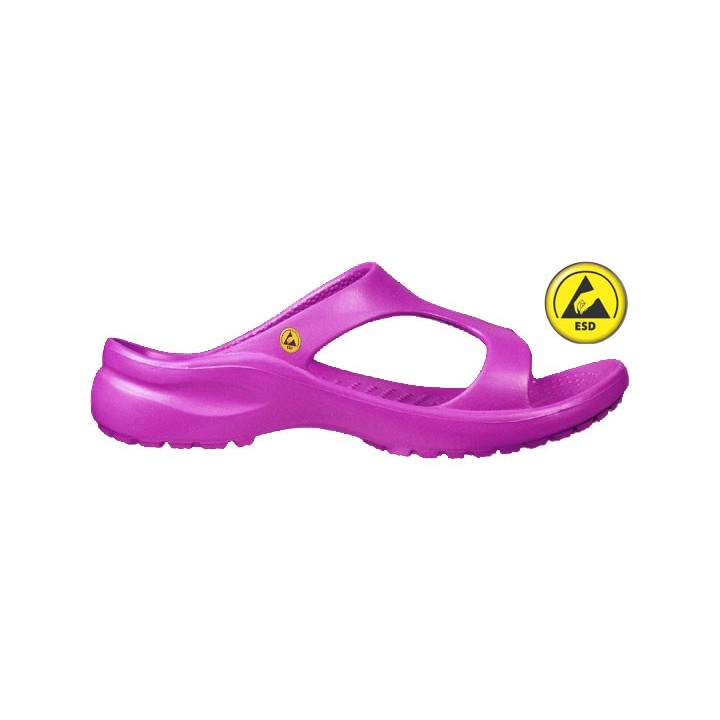 Vento Star  Aruba fuchsia