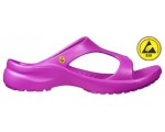 Vento Star  Aruba fuchsia